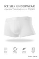 Ice Silk Underwear กางเกงในผู้ชาย ทรง Trunks : Model 264